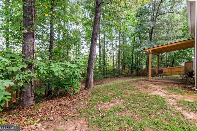 view of yard featuring a patio