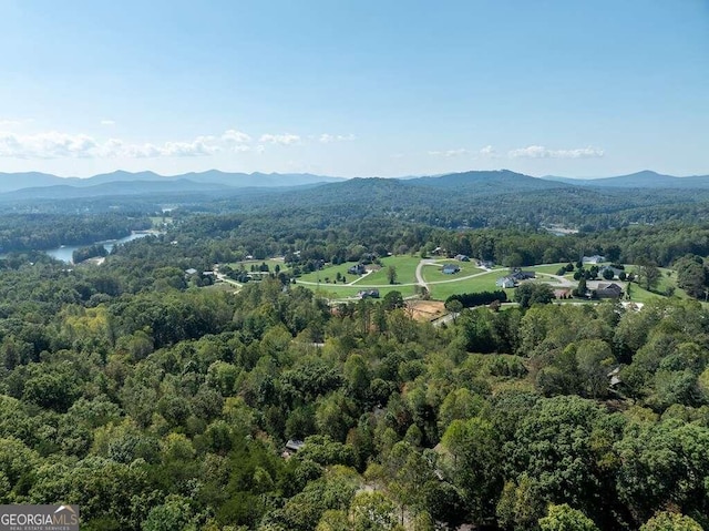 bird's eye view with a mountain view