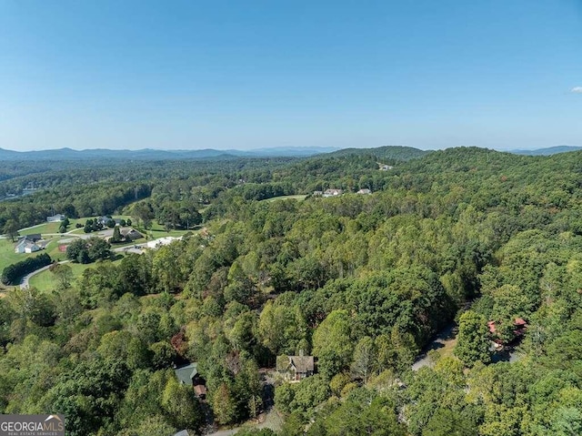 birds eye view of property featuring a mountain view