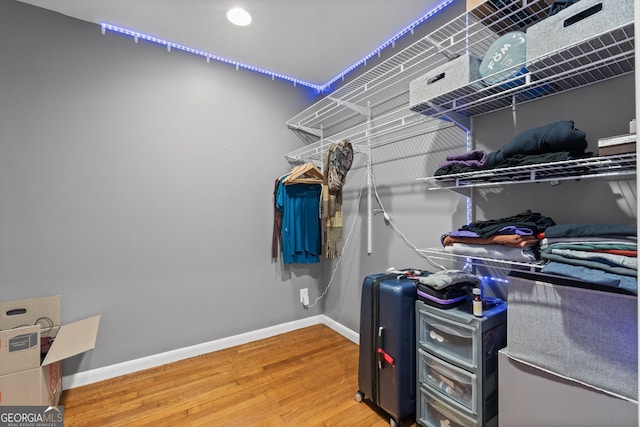 spacious closet with hardwood / wood-style floors