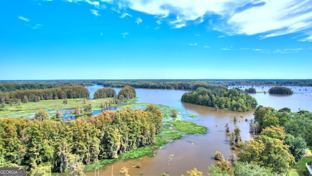 bird's eye view with a view of trees and a water view