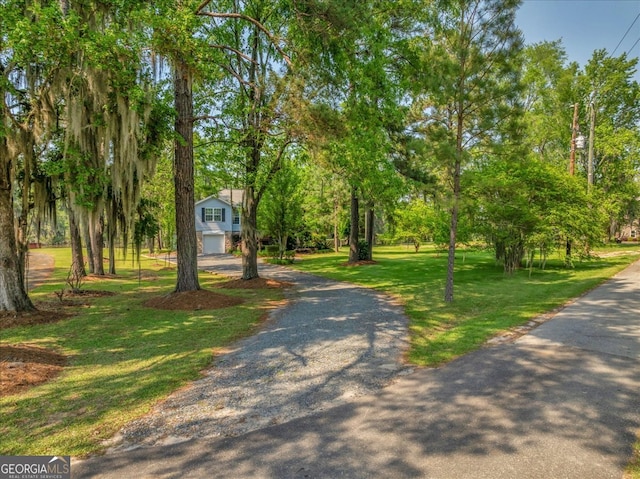view of community with an attached garage, driveway, and a lawn