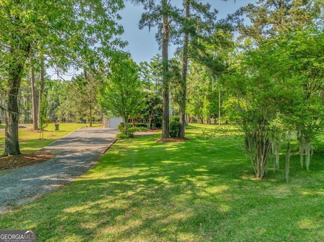 view of community featuring a lawn