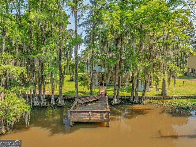 123 E Entreken Rd, Cobb, GA 31735 - dock area featuring a forest view