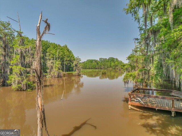 123 E Entreken Rd, Cobb, GA 31735 - dock area with a lawn and a water view