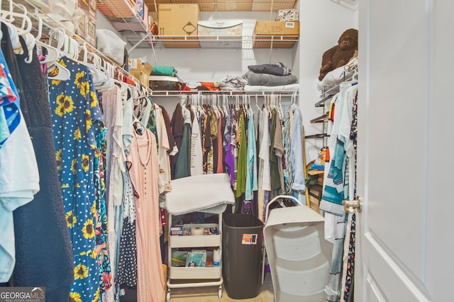 view of spacious closet