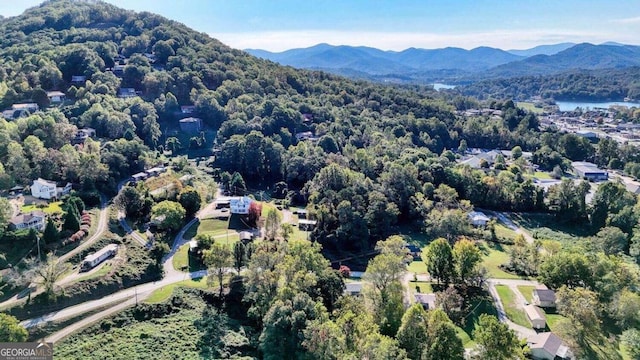 drone / aerial view featuring a mountain view