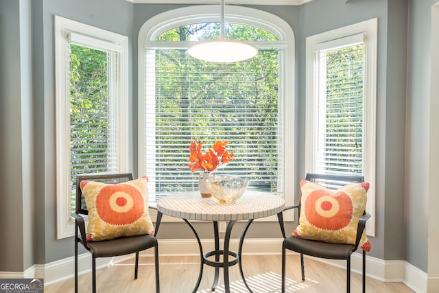 dining room featuring light hardwood / wood-style flooring and a healthy amount of sunlight