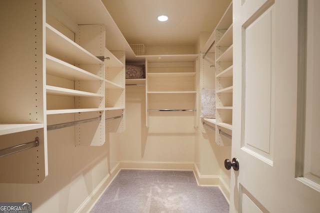 walk in closet with carpet flooring