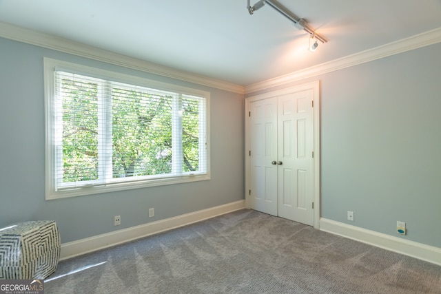 unfurnished bedroom featuring multiple windows, carpet floors, and rail lighting