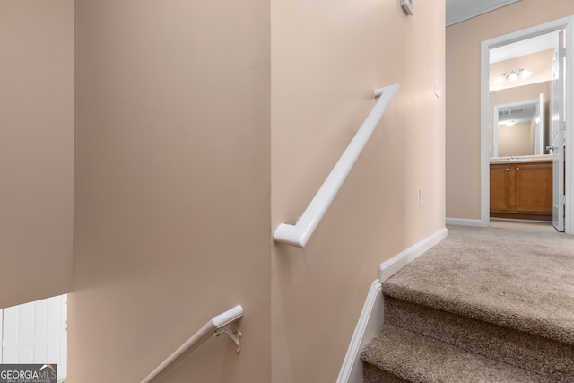 stairway featuring carpet floors