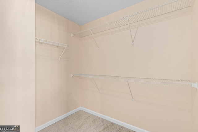 walk in closet with carpet floors