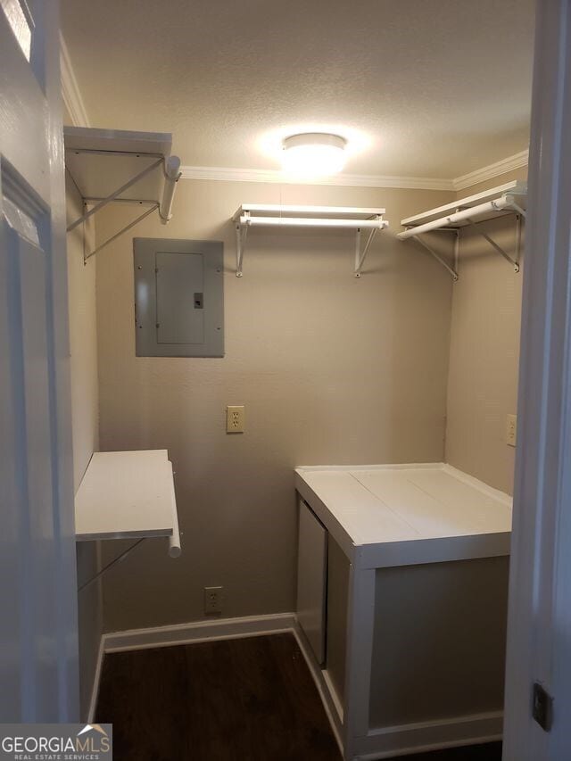 walk in closet featuring electric panel