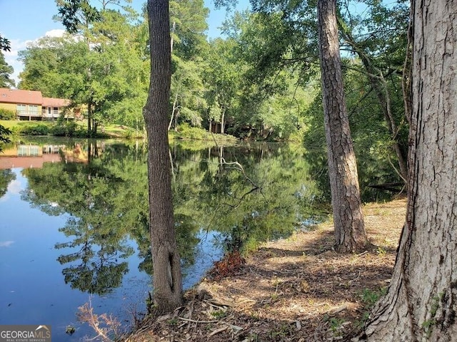 water view