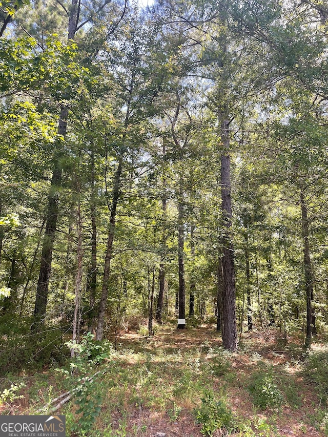 Listing photo 2 for 0 Rock Springs Rd Lot 12, Dublin GA 31021