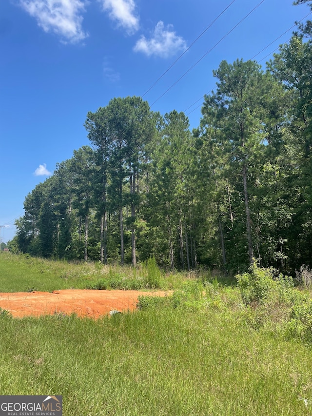 Listing photo 3 for 0 Rock Springs Rd Lot 12, Dublin GA 31021