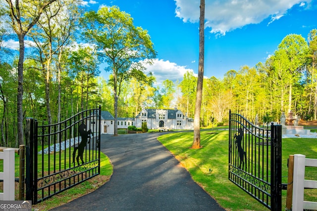 view of gate with a yard