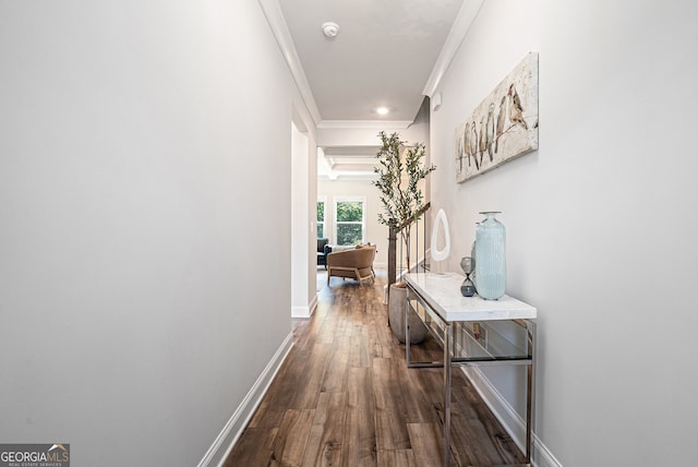 hall featuring crown molding and dark wood-type flooring