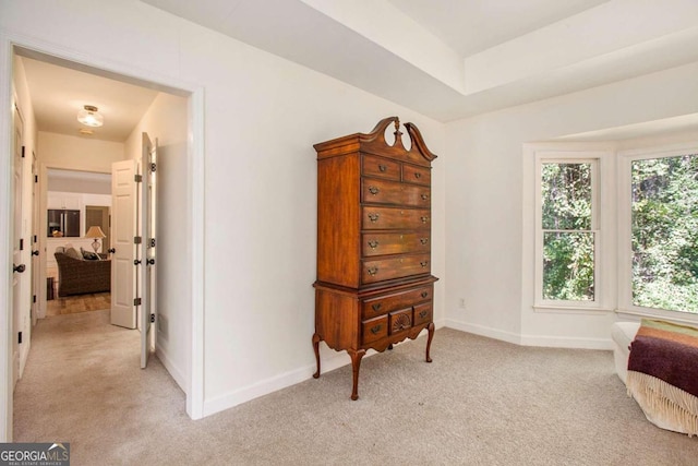 interior space featuring light colored carpet