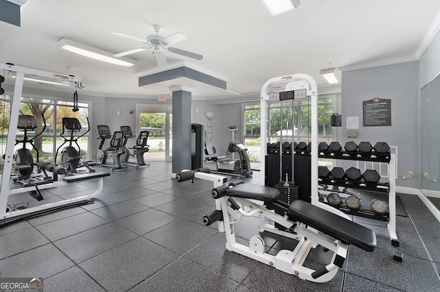 workout area with ceiling fan and ornamental molding