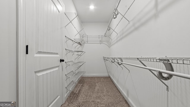 walk in closet featuring carpet floors