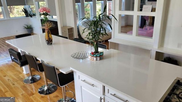 dining area featuring light hardwood / wood-style floors and plenty of natural light