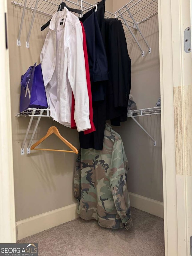 spacious closet featuring carpet flooring