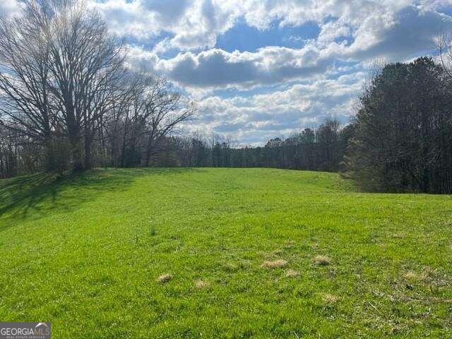 00 Mark Foster, Talking Rock GA, 30175 land for sale