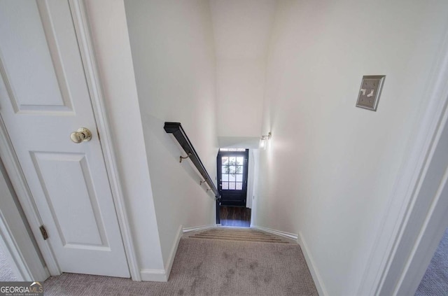 stairway with carpet flooring