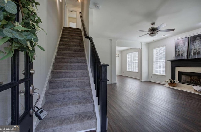 stairway with hardwood / wood-style flooring and ceiling fan