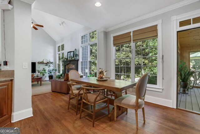 dining room with ceiling fan, hardwood / wood-style flooring, and plenty of natural light