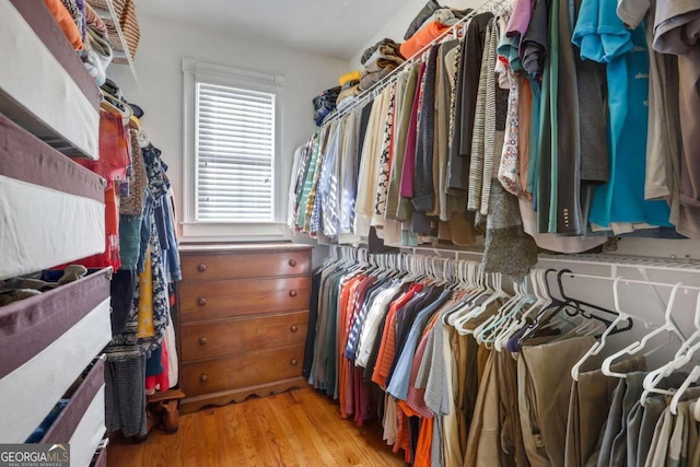 walk in closet with light hardwood / wood-style floors