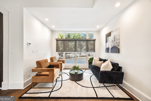 living room featuring wood-type flooring