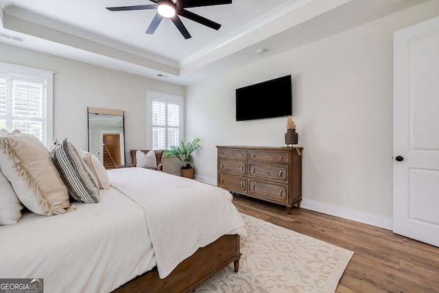 bedroom with ceiling fan, multiple windows, a tray ceiling, and dark hardwood / wood-style flooring