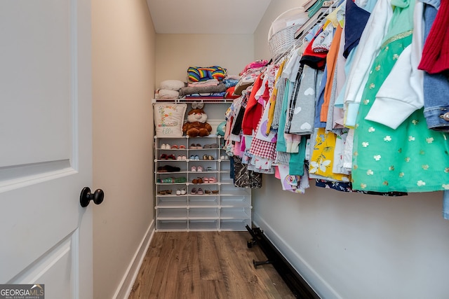 spacious closet featuring hardwood / wood-style flooring