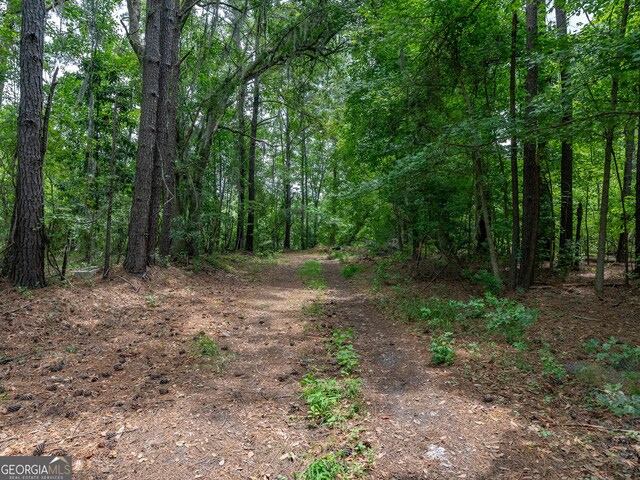 302 Old Pine Barren Rd, Pooler, GA 31322