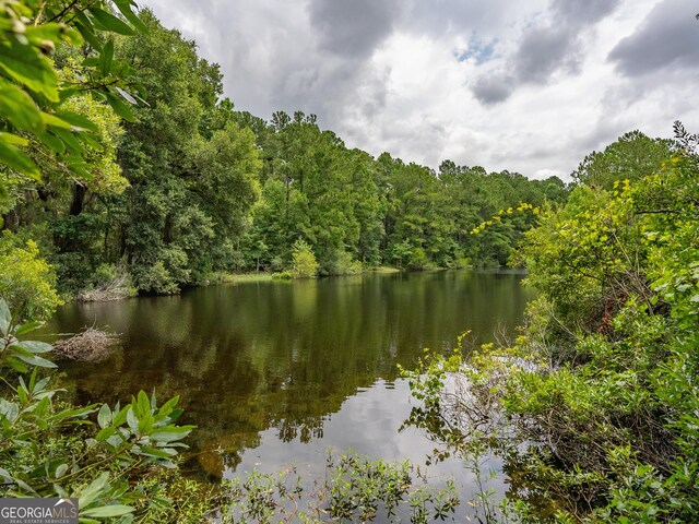 302 Old Pine Barren Rd, Pooler, GA 31322