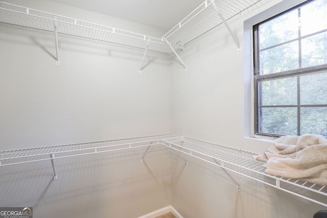 view of spacious closet