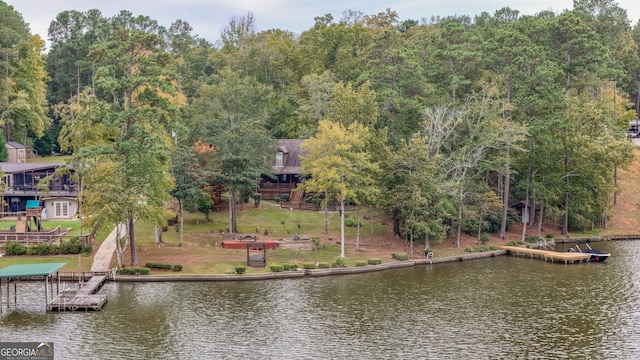 water view featuring a boat dock