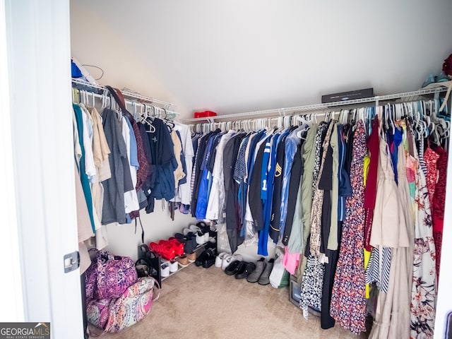 spacious closet featuring carpet