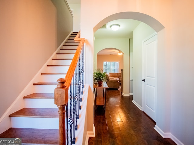 stairs with hardwood / wood-style flooring