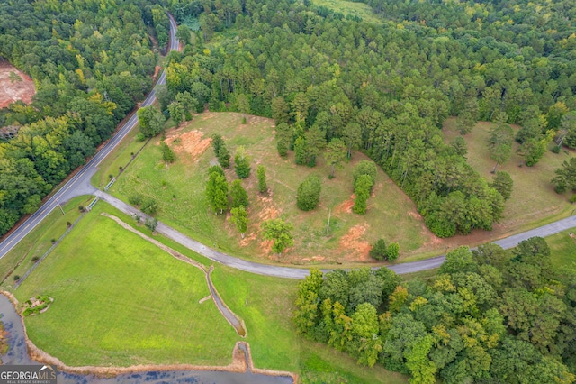 3 Southern Waters Way, Forsyth, GA 31029