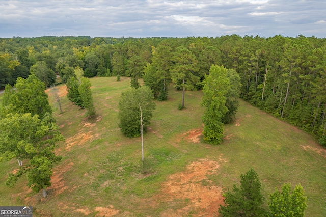 Listing photo 3 for 3 Southern Waters Way, Forsyth GA 31029