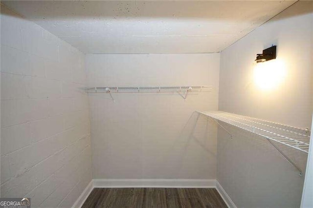 spacious closet featuring dark wood-type flooring