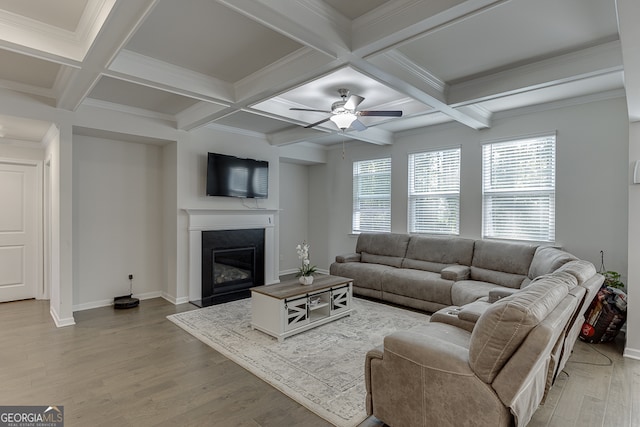 living room featuring ceiling fan, coffered ceiling, and hardwood / wood-style floors