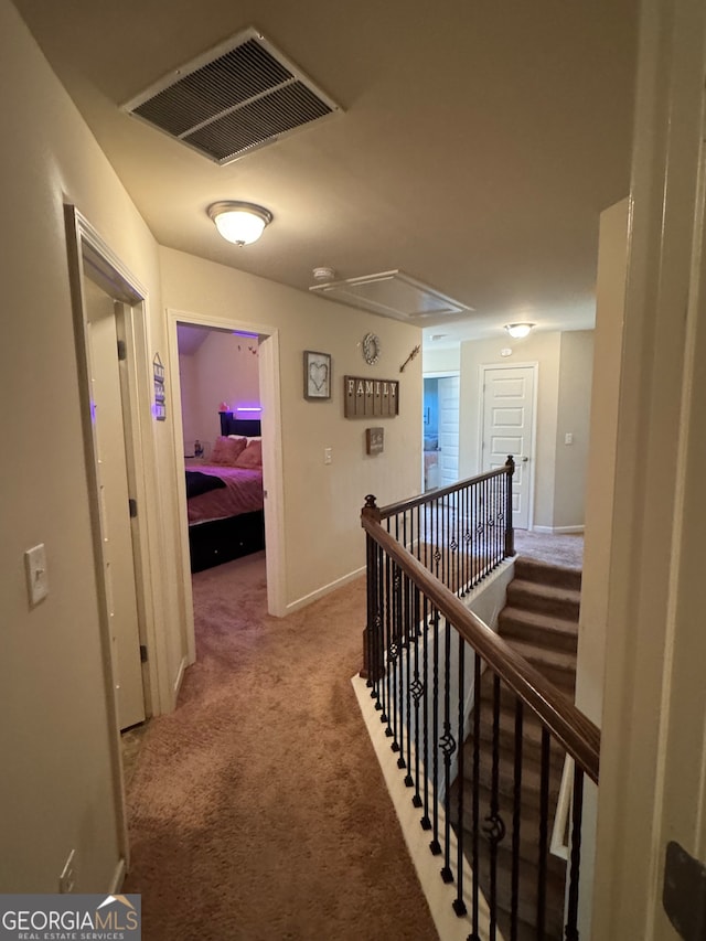 hallway with carpet floors