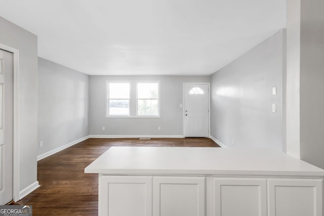 foyer featuring dark wood-type flooring