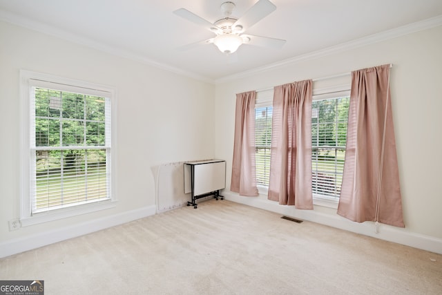 carpeted spare room with ceiling fan and ornamental molding