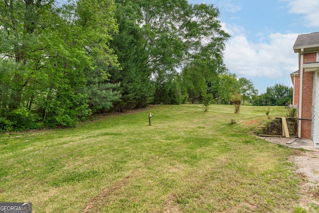 view of yard