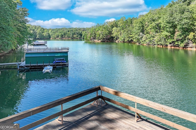 dock area with a water view